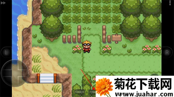 �ڴ��������뱦������