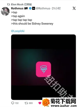 Loopit2026官方正版 Loopit2026官方正版