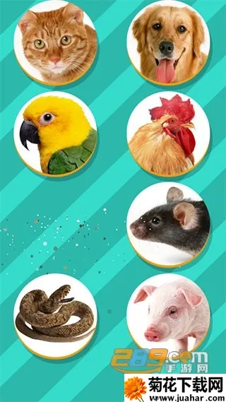 ���﷭����ȫ������v6.2.369 �ֻ���