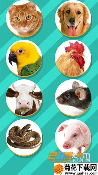 ���﷭����ȫ������v6.2.369 �ֻ���