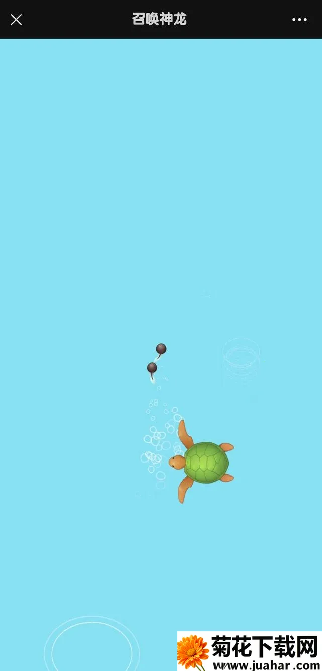 �ٻ�����������