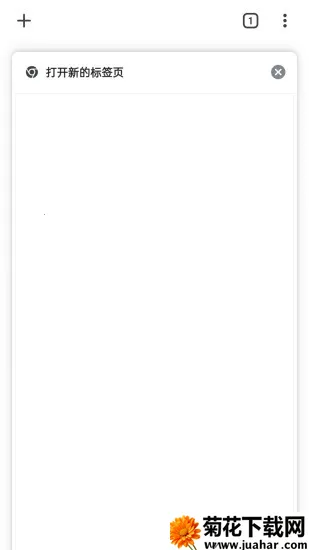 �ȸ������2026����v138.0.7204.179 �ٷ�����