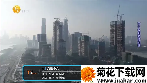 �͵�TV����(����ֱ������)v1.7.6.6_20251125_1958 ��׿��