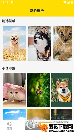 ���ӱ����2026�ٷ����°汾v1.5 ��׿��