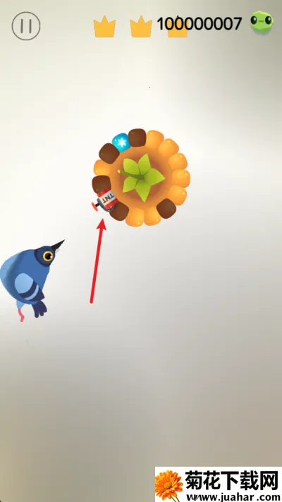 pigeon���ĸ���