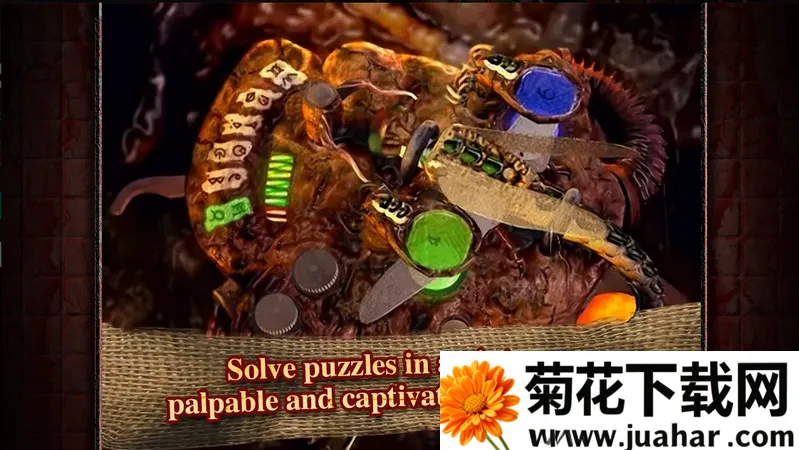 ����ԺSteam��ֲ��(����Ժ������Ϸ)