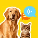 �ȳ�è����ѷ���(���ﻥ��Ӧ��)v1.0.2 �ٷ�����