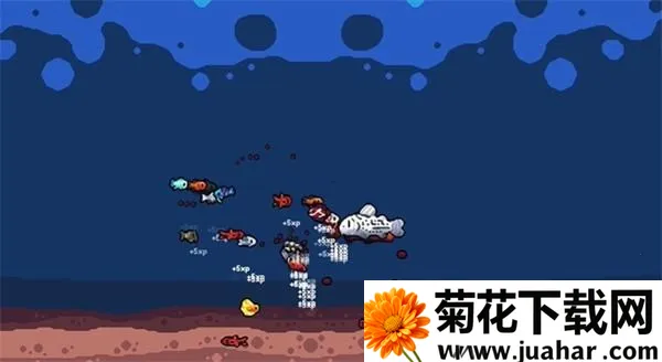 轻松水族馆无限货币2026官方正版 轻松水族馆无限货币2026官方正版