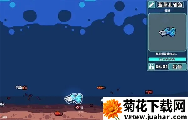 轻松水族馆无限货币2026官方正版 轻松水族馆无限货币2026官方正版