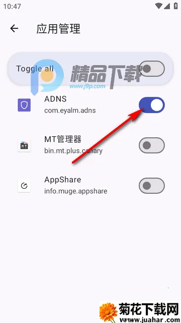 ADNS(�������Ӧ��)