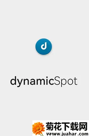 dynamicSpotpro使用教程