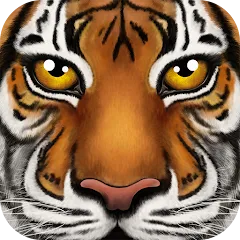 �ռ�����ģ����2026�ٷ�����v1.2 �ֻ���