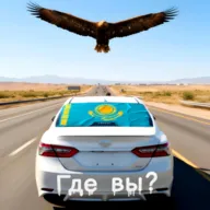 ������˹̹����ģ����(ģ���ʻ��Ϸ)v.29 ��Ѱ�