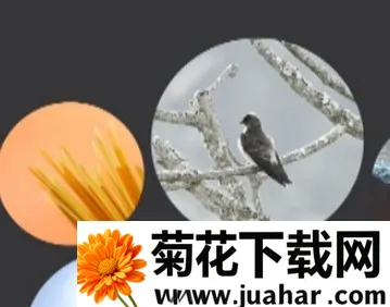 对眼(陌生男女社交) 对眼(陌生男女社交)
