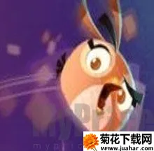 愤怒的小鸟思黛拉(小鸟弹弓打猪游戏) 愤怒的小鸟思黛拉(小鸟弹弓打猪游戏)