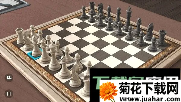 国际象棋单机版中文版(象棋对弈游戏) 国际象棋单机版中文版(象棋对弈游戏)