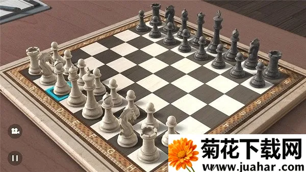 国际象棋单机版中文版(象棋对弈游戏) 国际象棋单机版中文版(象棋对弈游戏)