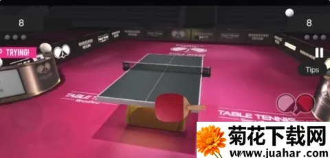 真实乒乓球2026最新版本 真实乒乓球2026最新版本