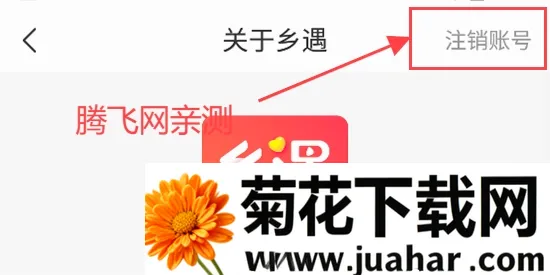 乡遇最新手机版 乡遇最新手机版