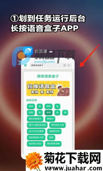 小夹子语音盒最新手机版 小夹子语音盒最新手机版
