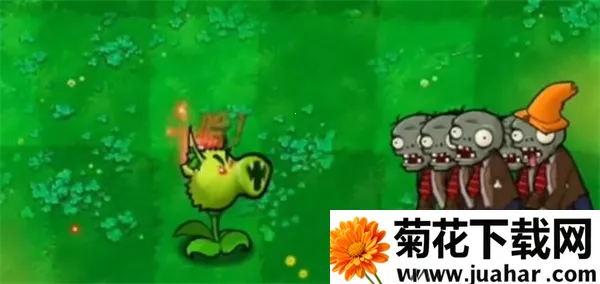 ֲ���ս��ʬ�����װ�(è��������Ϸ)