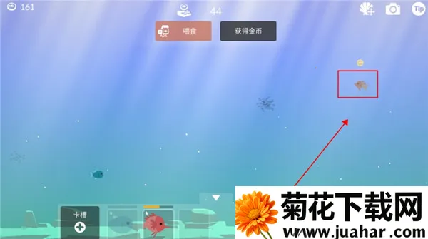 钓鱼人生破解版金币不减反增 钓鱼人生破解版金币不减反增