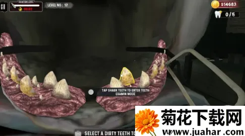 鲨鱼牙医模拟器(鲨鱼看牙游戏) 鲨鱼牙医模拟器(鲨鱼看牙游戏)
