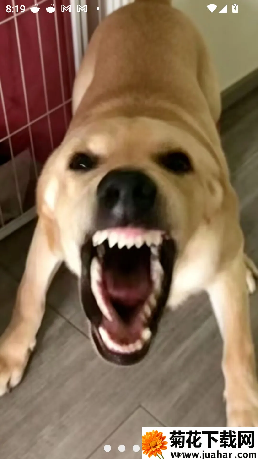 �󹷽���Ϸ������ư�(������ģ����Ϸ)v1.1 ��Ѱ�