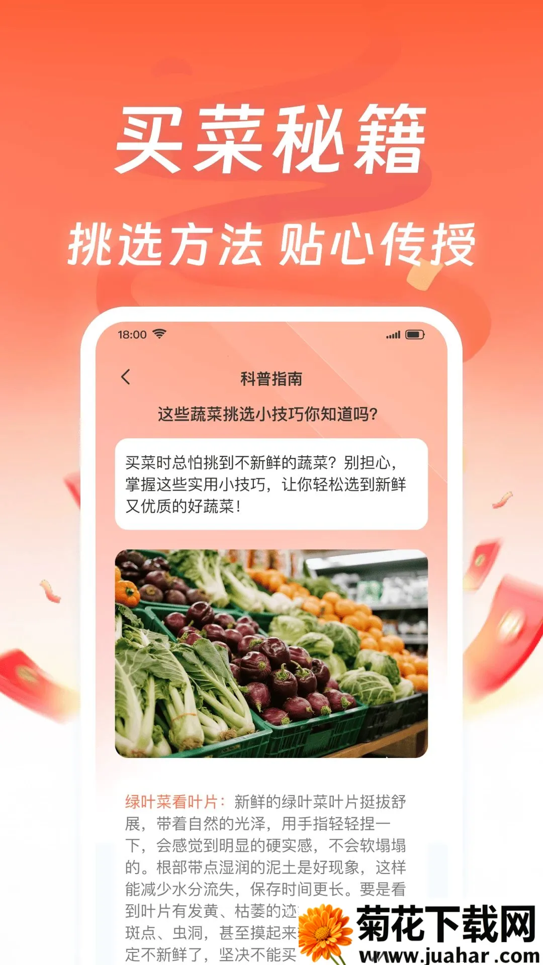 ������ʺ��Ż�2026���°汾v1.0.0 �ֻ���