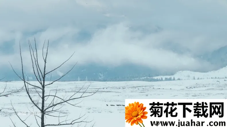 锋云秒播香吻版(电视直播软件) 锋云秒播香吻版(电视直播软件)