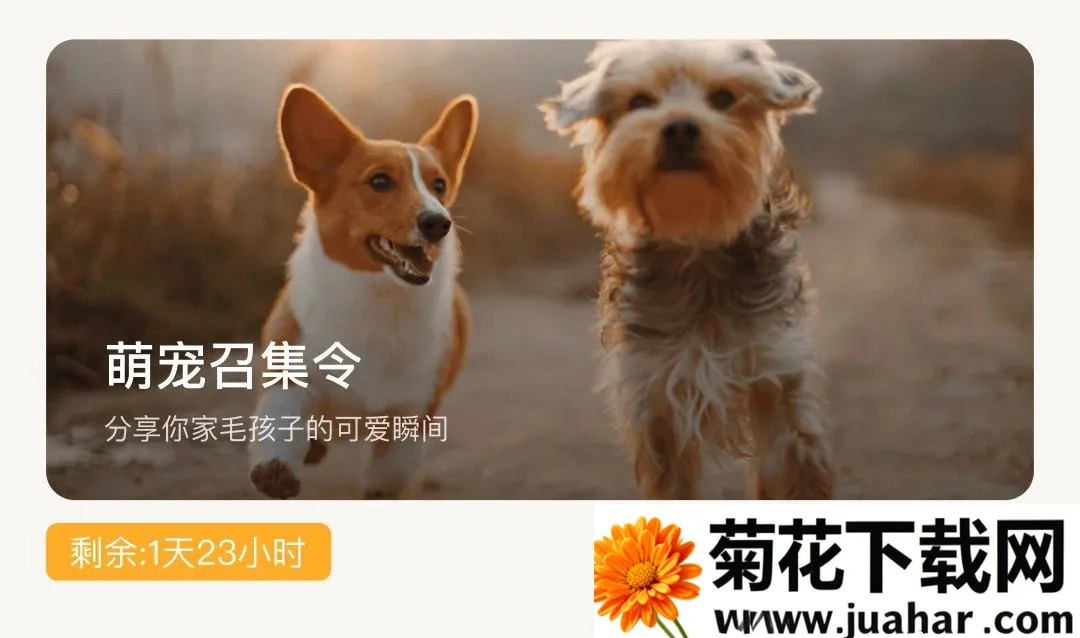 �޻�APP��׿���ֻ���v1.0.6 �ٷ�����