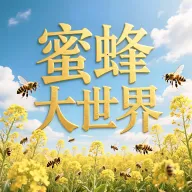 �۷�����������ֻ���v1.0.9 ��׿��