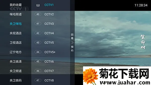 �������TV(����ֱ�����ӹ���)
