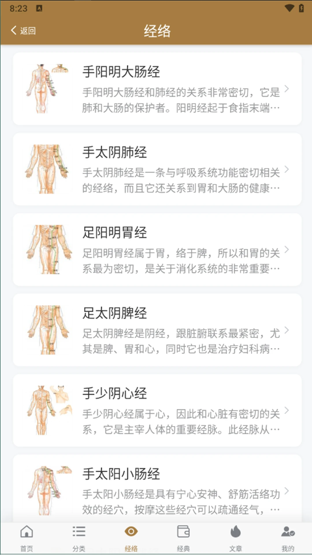 穴位图谱大全(经络穴位查询)
