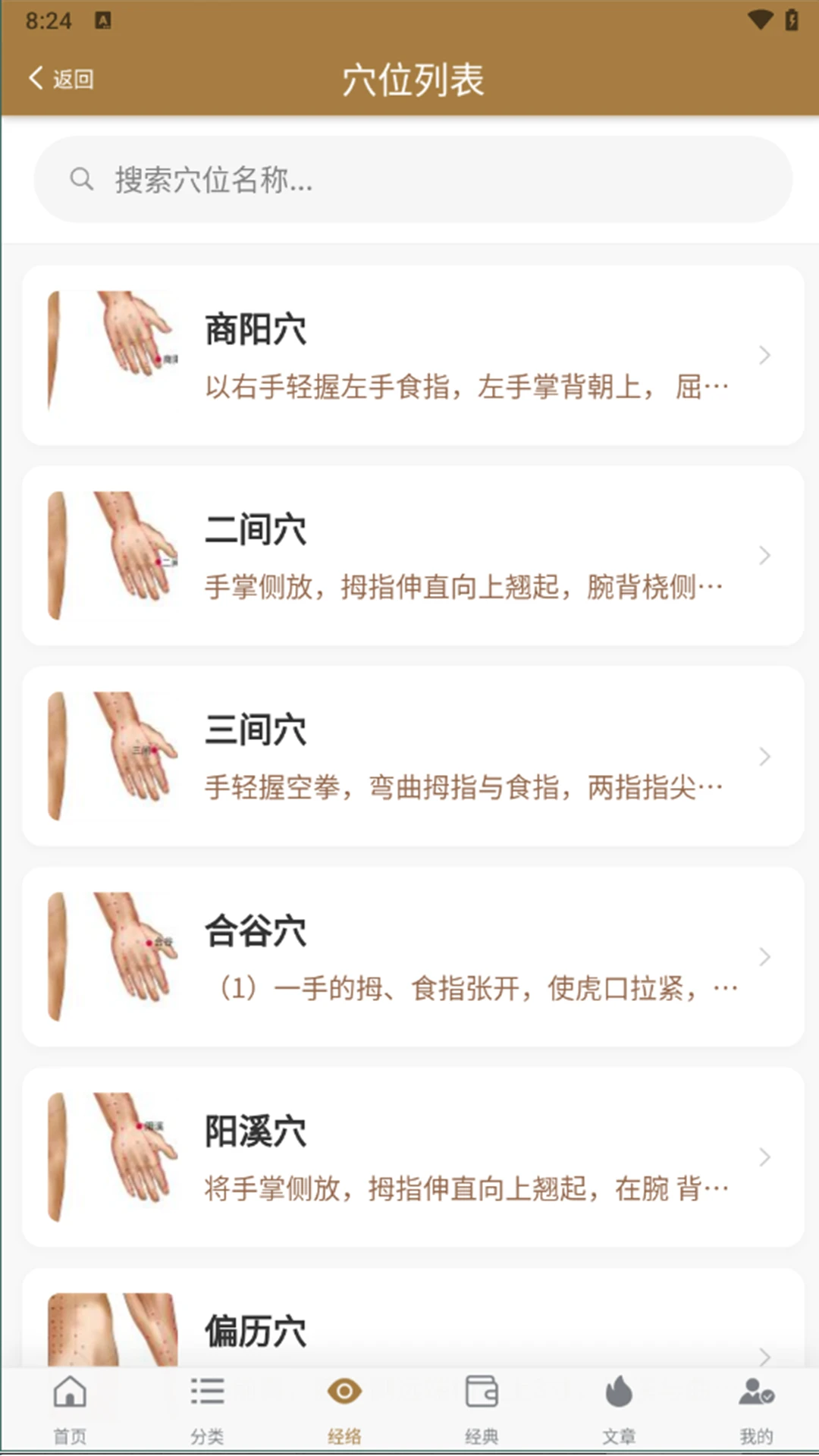 穴位图谱大全(经络穴位查询)
