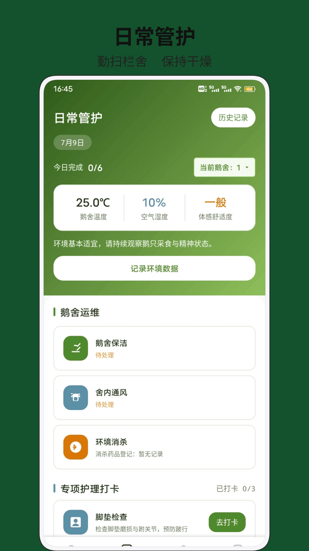 鹅个大鹅2026官方正版