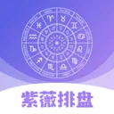 紫薇排盘2026最新版本v3.1.0 免费版