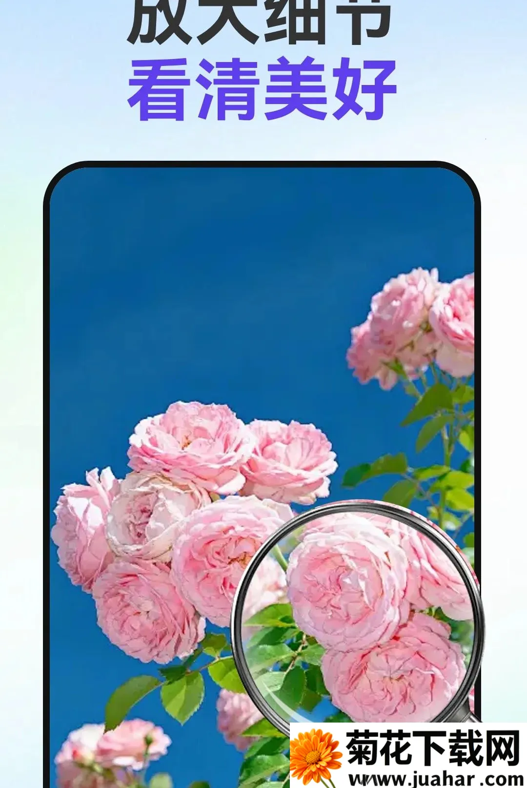 С�ַŴ�����2026�ٷ����°汾v1.0.0 ��Ѱ�