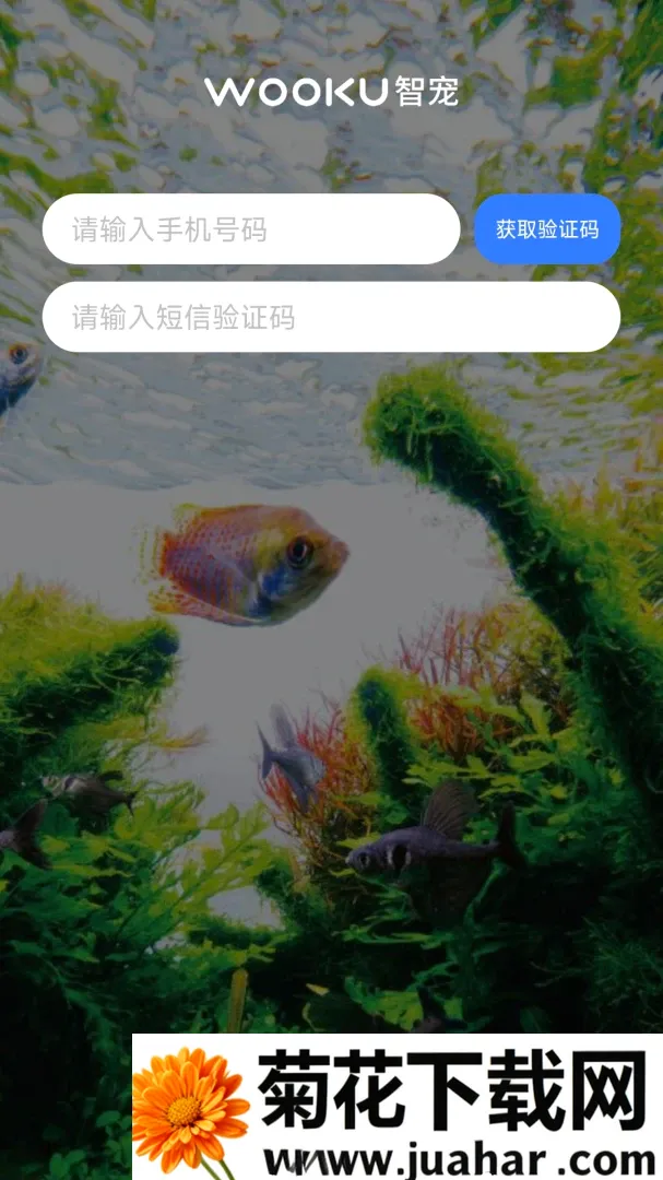 WOOKU智宠(智能水族品牌) WOOKU智宠(智能水族品牌)