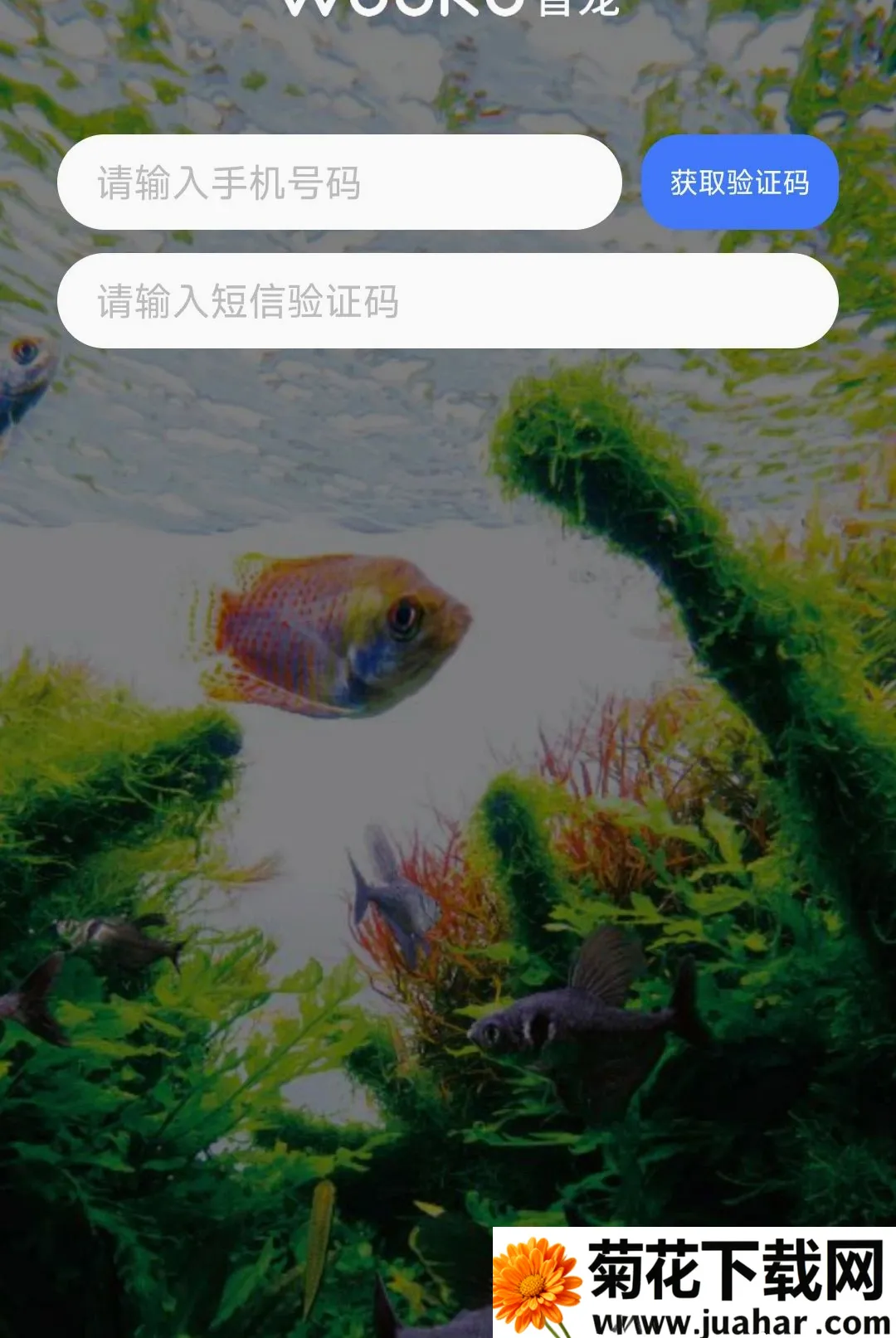 WOOKU�ǳ�(����ˮ��Ʒ��)v1.0.29 ��Ѱ�